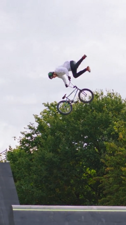 Professionele stunter