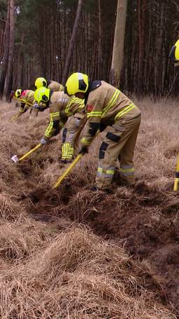 Blussen zonder water