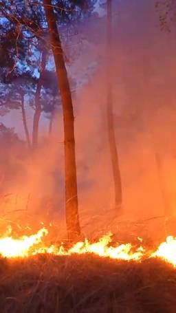 Sein brand meester