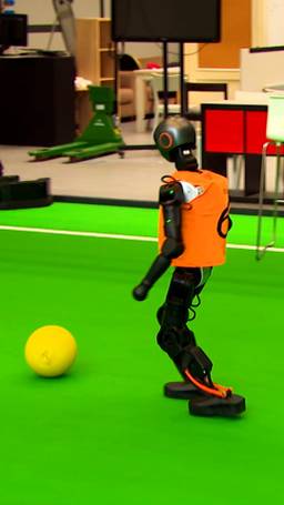 FC Robot