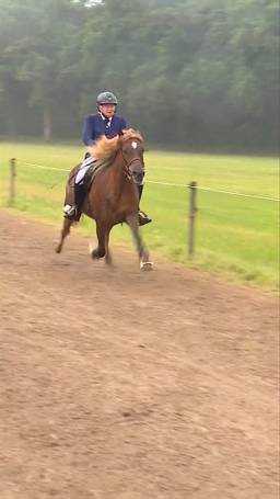 Cora (80) knalt op NK