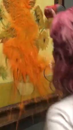 Zonnebloemen kleuren rood