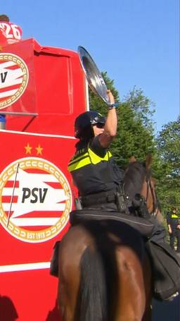 Pak schaal