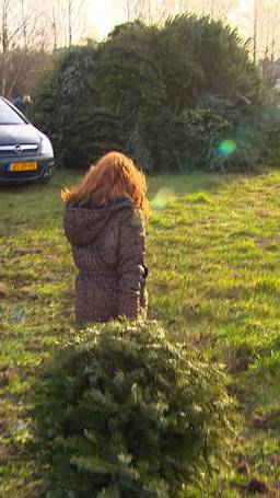 Verbranden of herplanten?