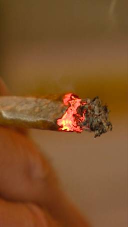 Jointje. Moet kunnen?