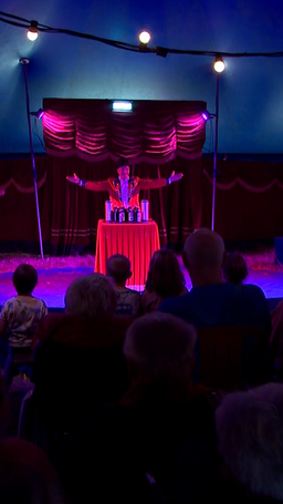 Prikkelvrij circus