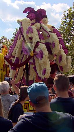 Bloemencorso Valkenswaard