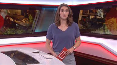 Brabant Nieuws