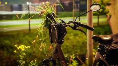 Fietser rijdt kanaal in, hulpverleners massaal opgetrommeld hem te redden