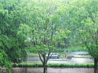 Zware regenval vandaag in Waalwijk. (Foto: Martha Kivits)