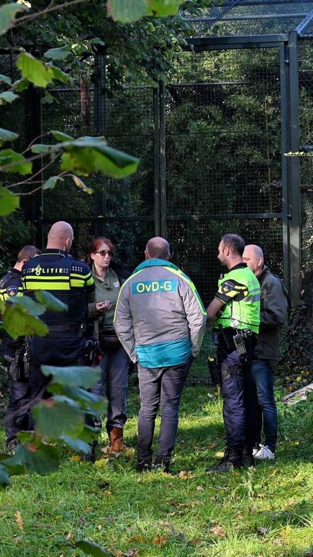 Aangevallen door panter
