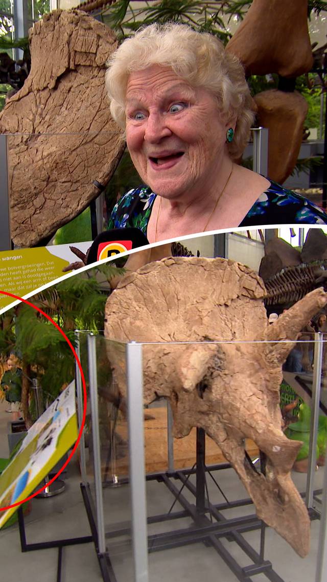 Veronika 'krijgt' dino