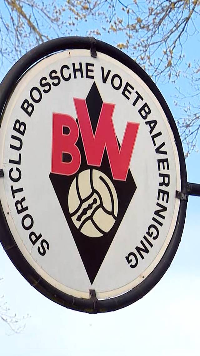 Expert over agressie