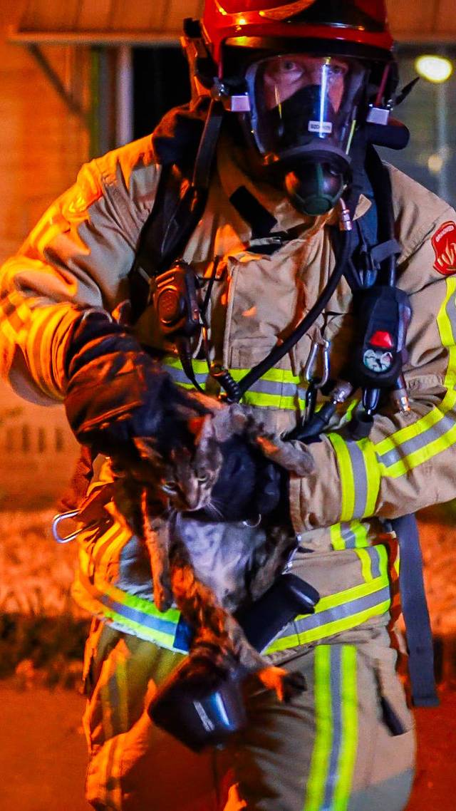 Katten gered bij brand