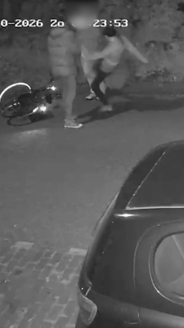 Mishandeling op beeld