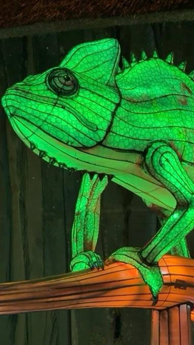 Lightsafari Beekse Bergen