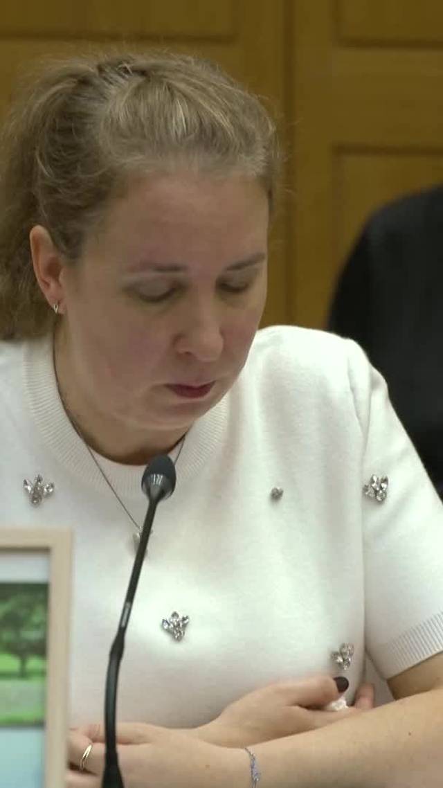 Emotioneel betoog Stint-zaak