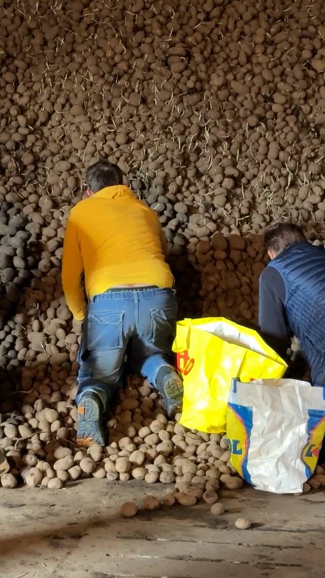 Voor een (aard)appel en ei