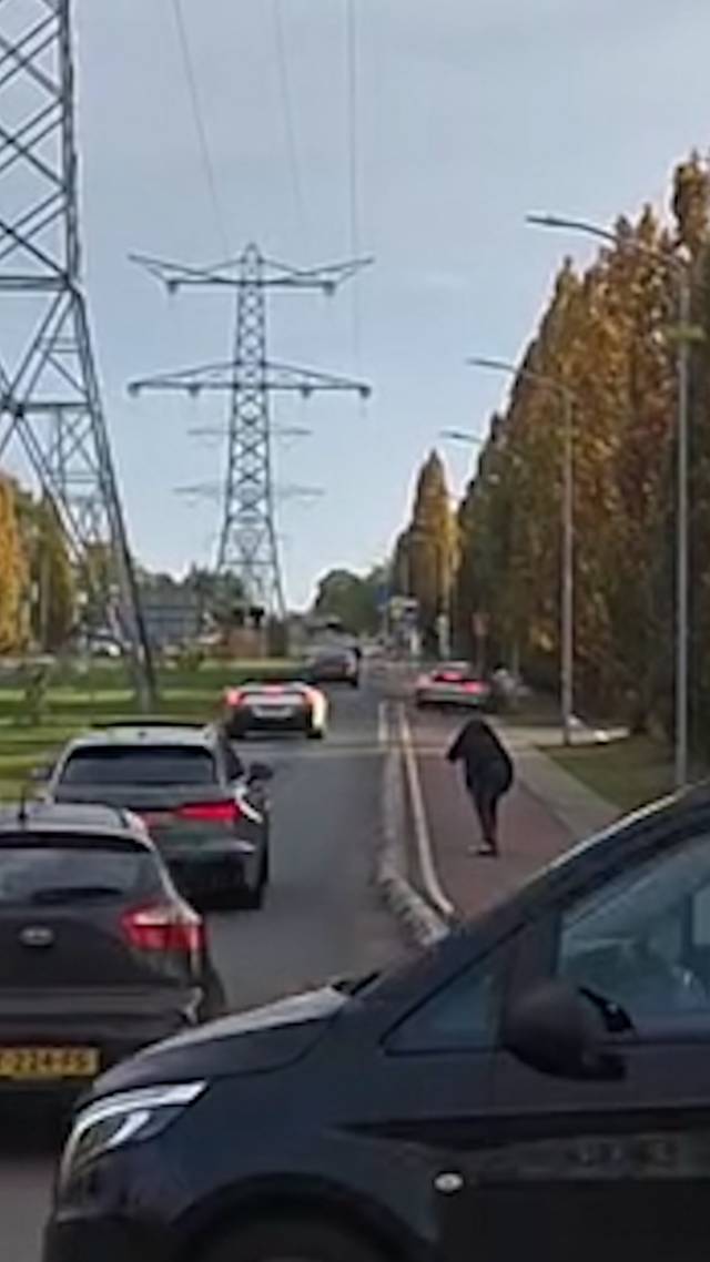 Peperdure Porsche crasht