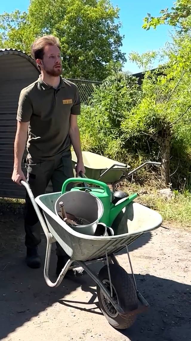Bijzonder werk