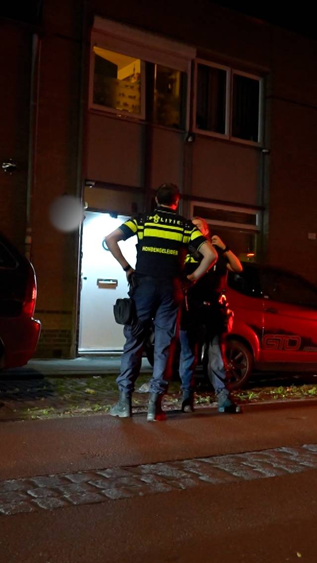 Overleden na steekpartij