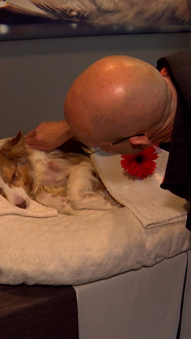 Afscheid nemen van je hond