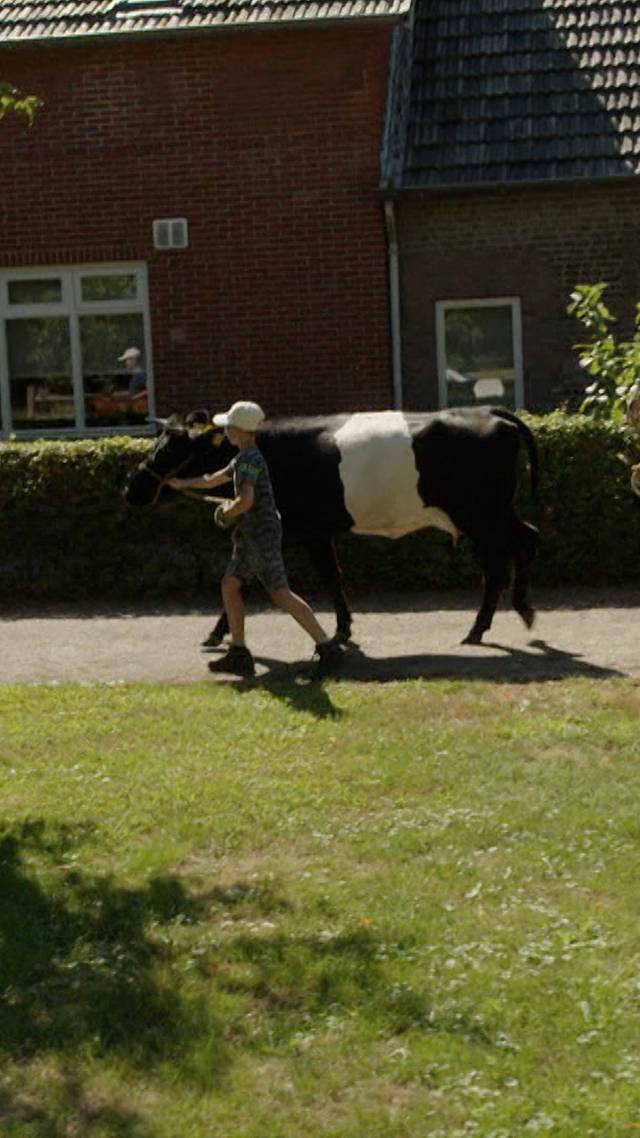 Loeien en lopen