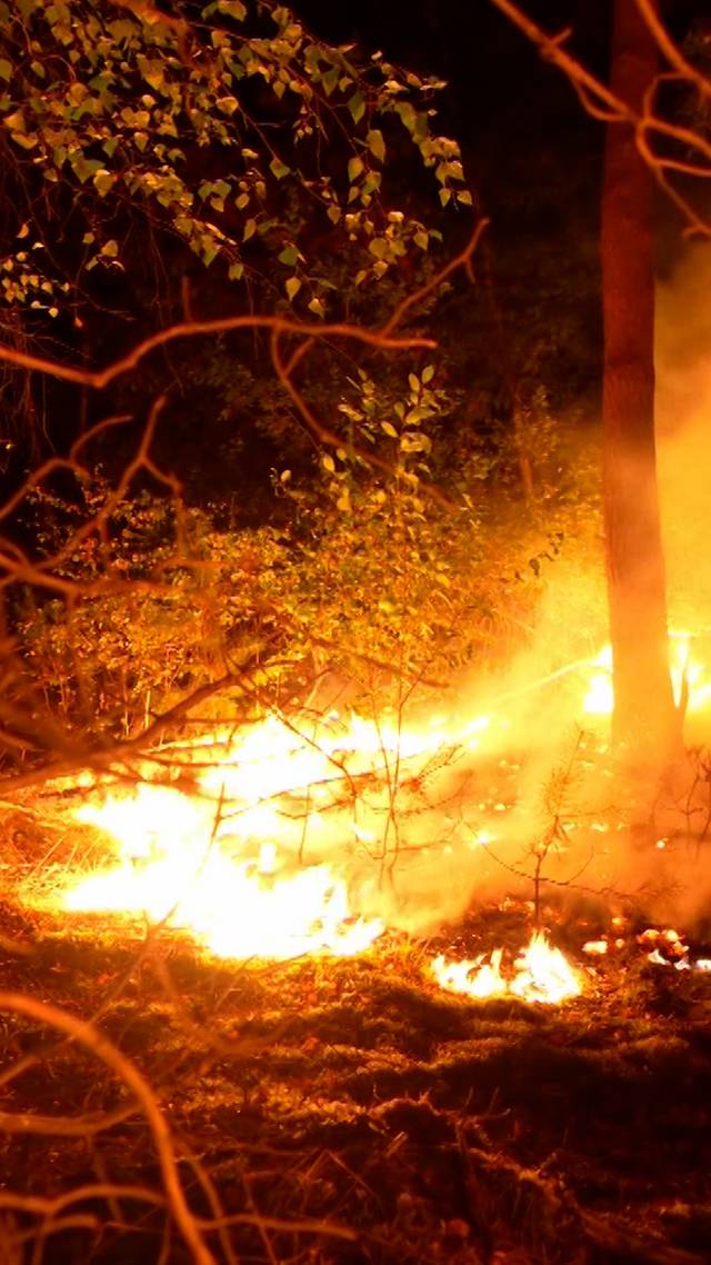 Natuurbrand in Brabant?