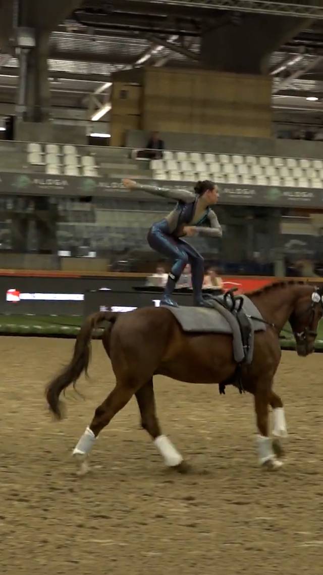 Acrobaat te paard