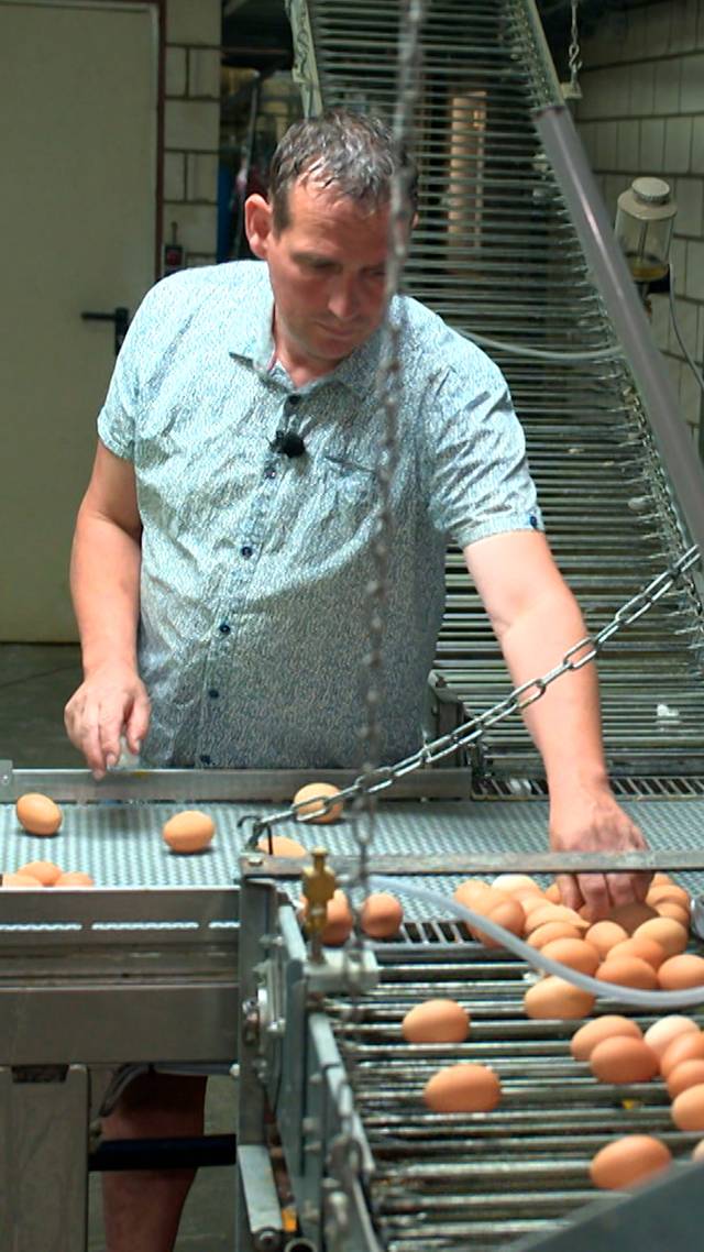 Boze pluimveehouder