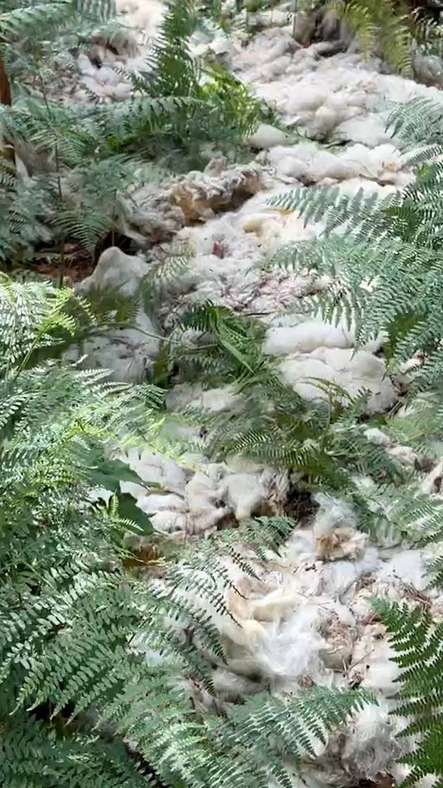 Sneeuw?!