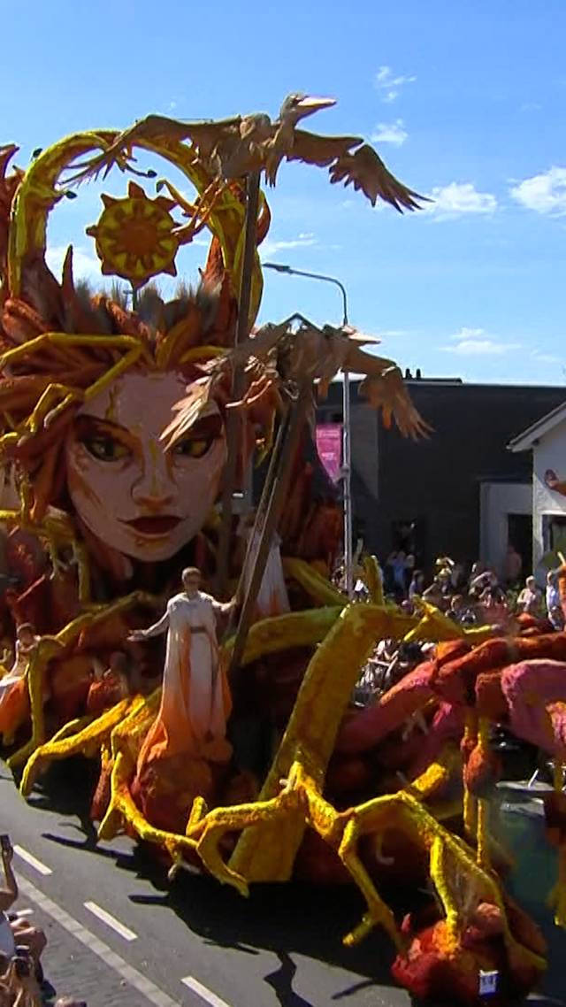 Sandraudiga, Geworteld in Zundert