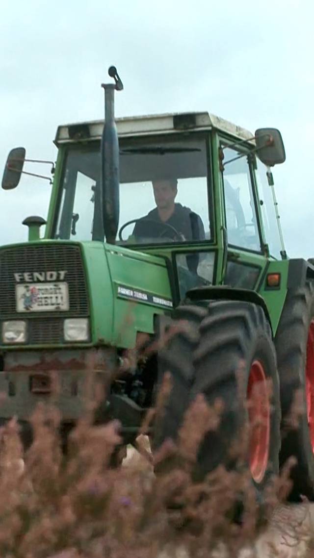 Held van de dag