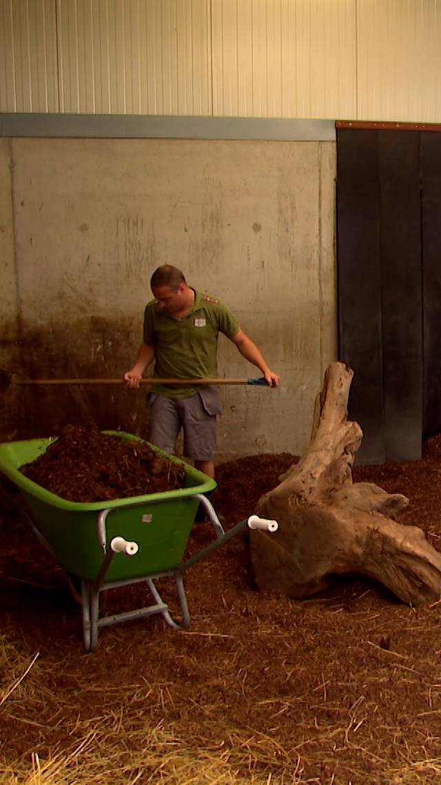 Hulpboeren