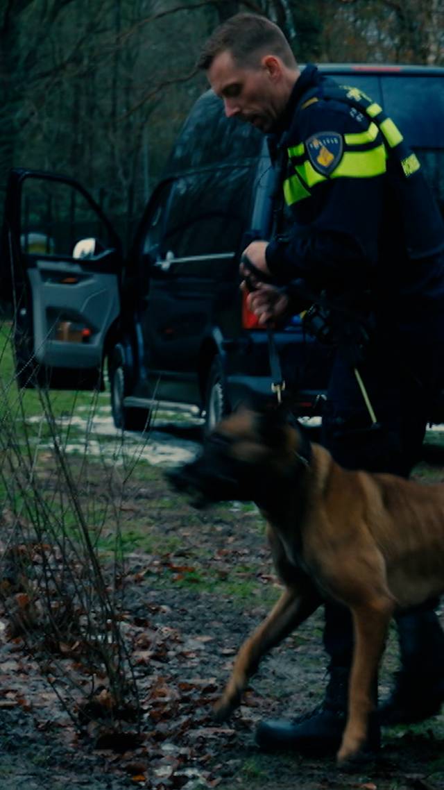 Politiehond