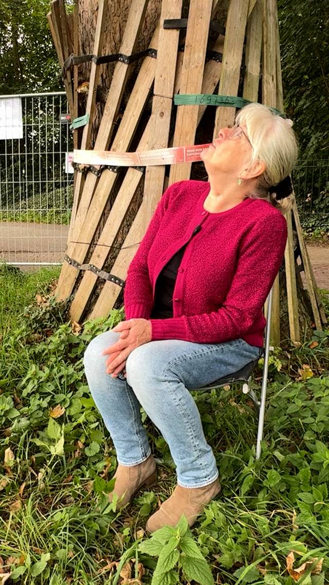 Redding voor boom Piet?