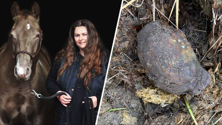 Astrid vond de handgranaat rechts in de wei van haar pony's (foto's: Astrid Klomp). 