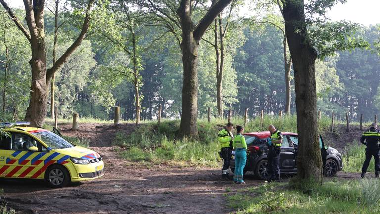 Man (68) doodgeschoten op een bospad, verdachten worden vrijgelaten