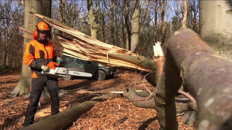 Boswachter verbaast zich over wandelaars: 'Het is nu veel te gevaarlijk'