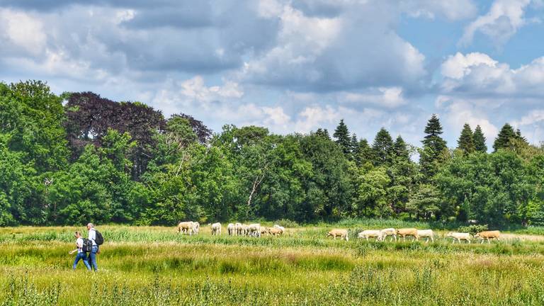 foto: VisitBrabant