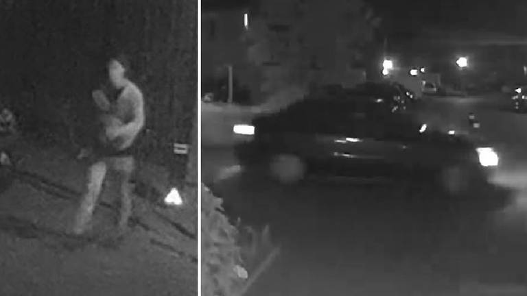Zelfs de hond wordt mishandeld bij gewelddadige woningoverval
