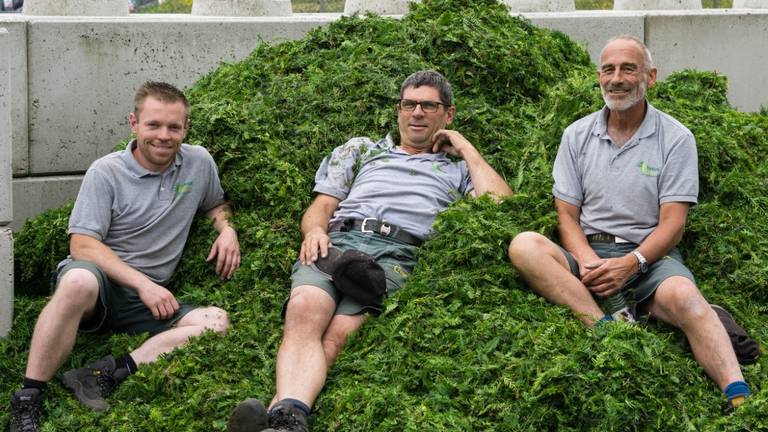 Werner Toonen (l) met zijn collega's van de Taxus Taxi (foto: Taxus Taxi).