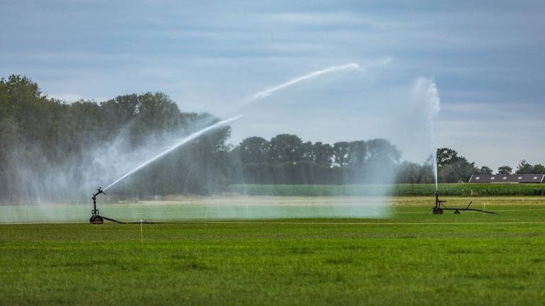 Sproeien is in sommige delen van het beheergebied van Waterschap De Dommel even niet toegestaan 