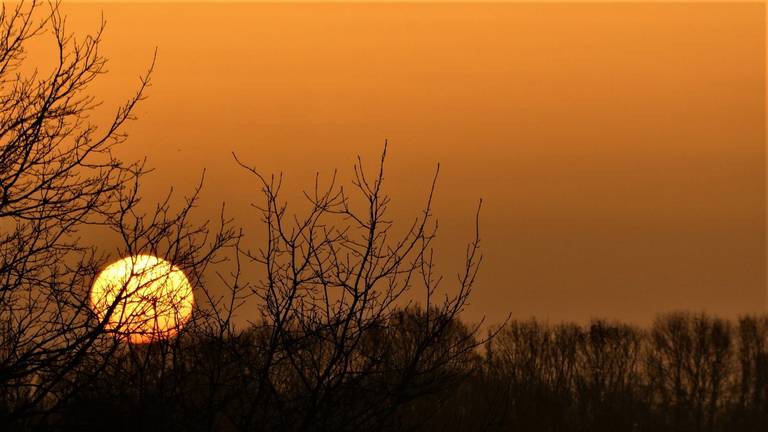 Een prachtige zonsopkomst donderdag in Waalwijk (foto: Martha Kivits).