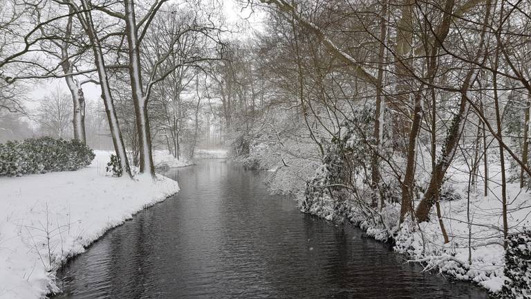 Winterwonderland in Sint-Michielsgestel, 7 februari 2021 (foto: Sandra Kagie).