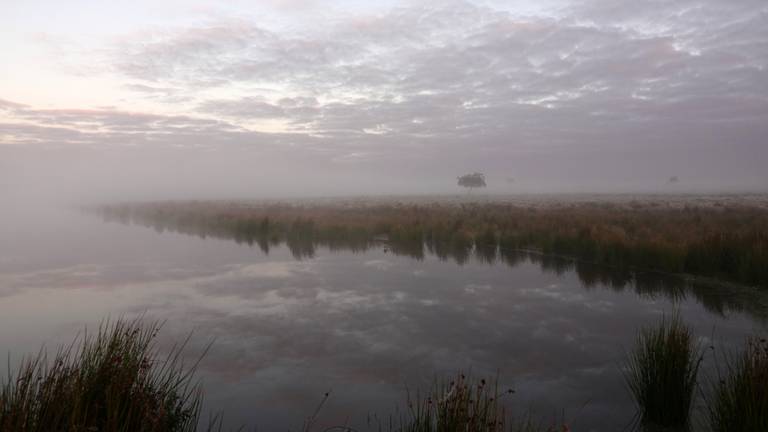 Het was mooi wakker worden in Zuidoost-Brabant (foto: Ben Saanen).