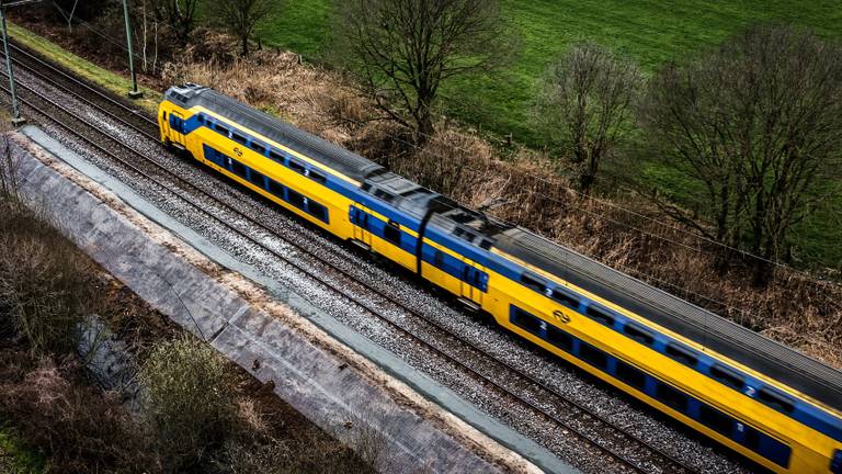 Op het spoor bij Esch konden in maart een week lang geen treinen rijden, omdat dassen een burcht onder het spoor hadden gebouwd (foto: ANP).