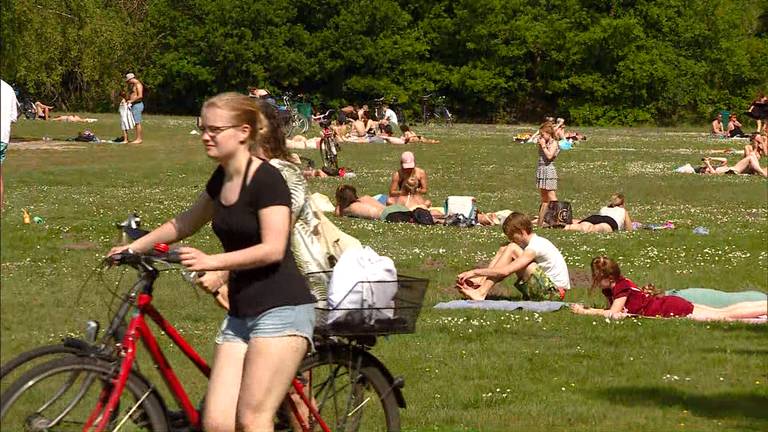 Drukte bij de Galderse Meren. Foto: Omroep Brabant.