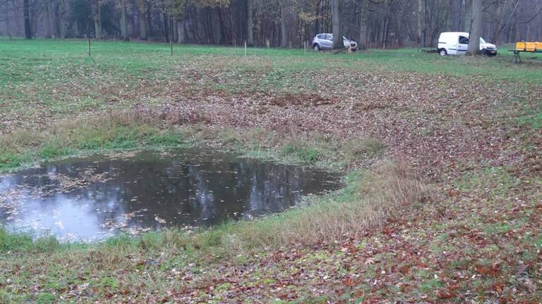 De waterpoel waar de ambifiën wonen.