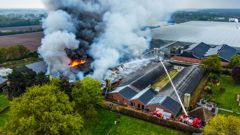 Tienduizenden kippen omgekomen bij brand in stallen